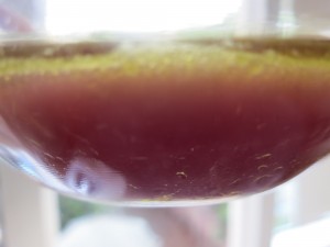 Purple broth made with purple carrots