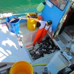 Tony Vultaggio Fishes for Black Cod