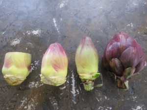 Cleaning Artichokes