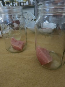 vinegar mothers