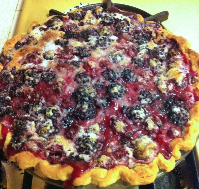 mixed berry sour cream pie