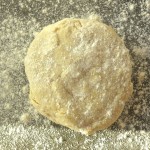 Evan's Pie Dough