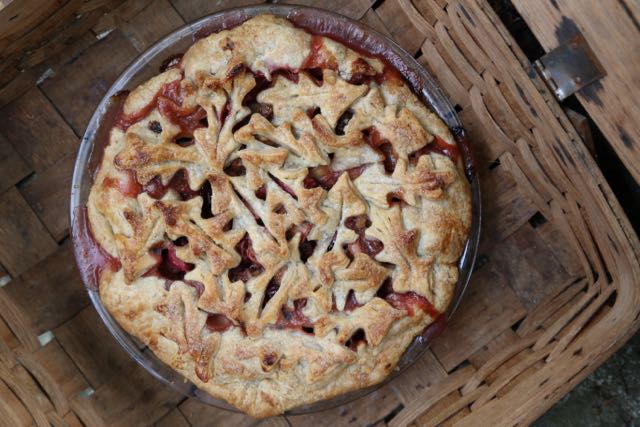 Barbara Swell's Leafy Gallette