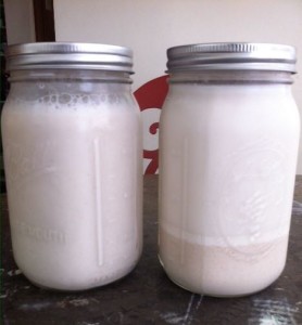 homemade horchata
