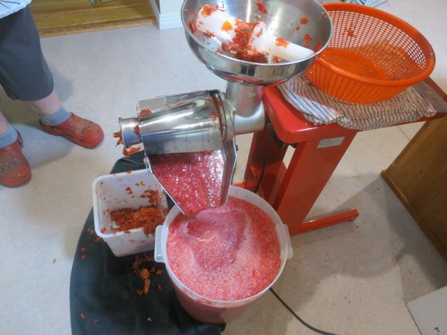pureeing tomatoes with electric mill