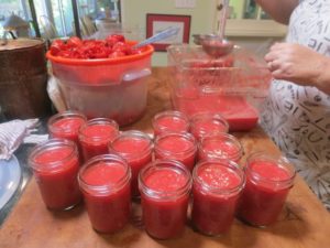 tomato canning