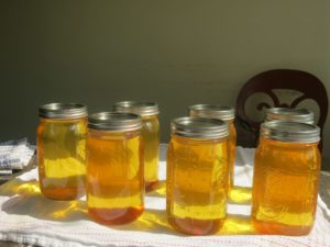 canning tomatoes