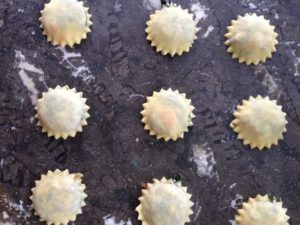 making ravioli